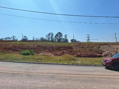 Terreno para Venda, em Barueri, bairro Jardim Paulista