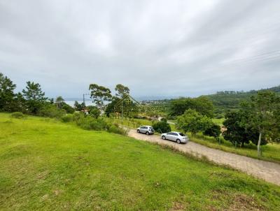 Terreno para Venda, em Imaruí, bairro Centro
