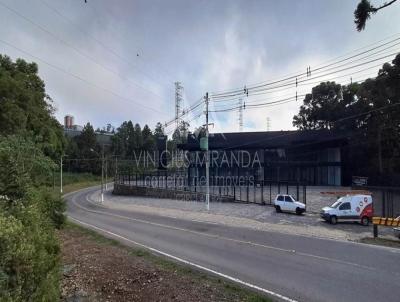 Pavilhão para Locação, em Garibaldi, bairro Industrial Acesso Norte, 2 banheiros