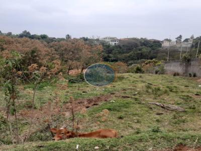 imagem-miniatura