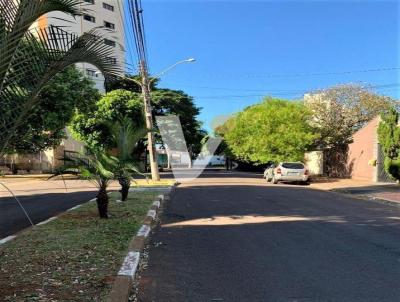 imagem-miniatura
