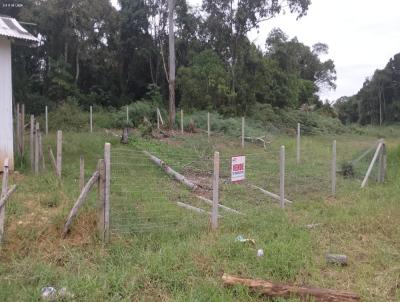 Terreno para Venda, em Balnerio Piarras, bairro itacalomi