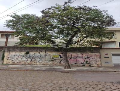 imagem-miniatura