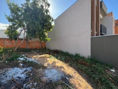 Lote para Venda, em Montes Claros, bairro Belvedere II