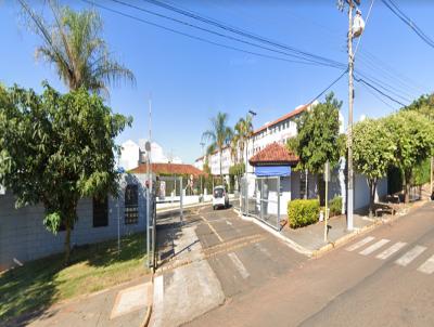 imagem-miniatura