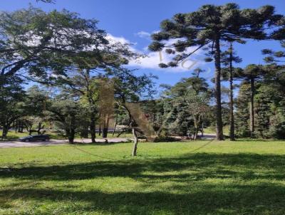 Terreno para Venda, em Canela, bairro S�o Lucas