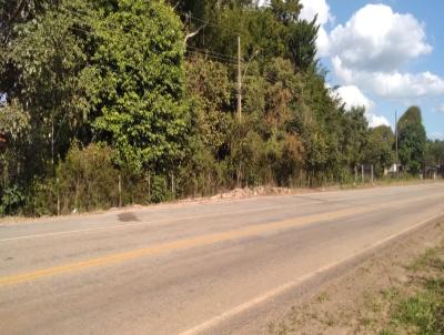 Chcara para Venda, em Entre Rios de Minas, bairro Castro