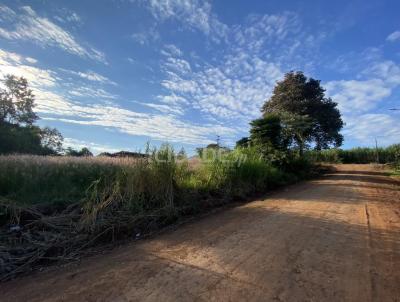 Terreno para Venda, em , bairro rea Rural