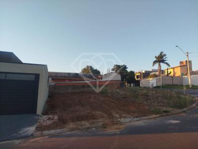 imagem-miniatura