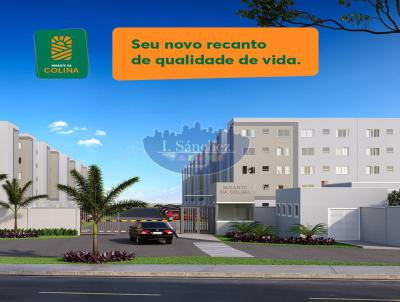 imagem-miniatura