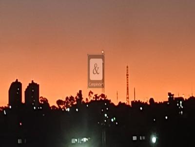 imagem-miniatura