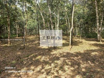 Terreno em Condomnio para Venda, em Senador Canedo, bairro Condomnio Ecolgico Manses Morumbi
