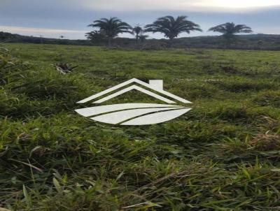 Fazenda para Venda, em Colmia, bairro rea rural com expanso consolidada
