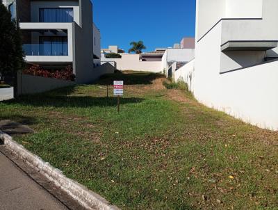 Terreno para Venda, em , bairro AVECUIA