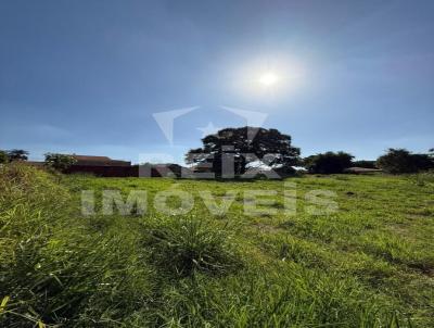 Terreno para Venda, em So Jos do Rio Preto, bairro Manoel Del`Arco