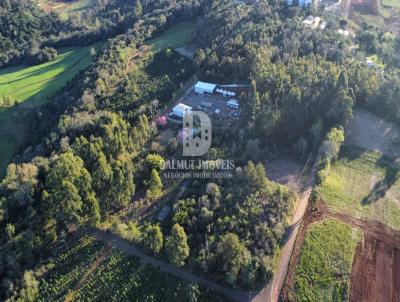 Chácara para Venda, em Erechim, bairro Chácara próxima a Plaxmetal