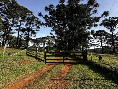 Fazenda para Venda, em Tibagi, bairro Rural