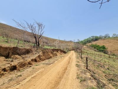 Stio / Chcara para Venda, em Cataguases, bairro rea Rural de Cataguases