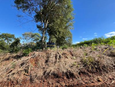 Terreno para Venda, em Candi, bairro Alagado do Iguau - Candi