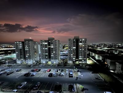 imagem-miniatura