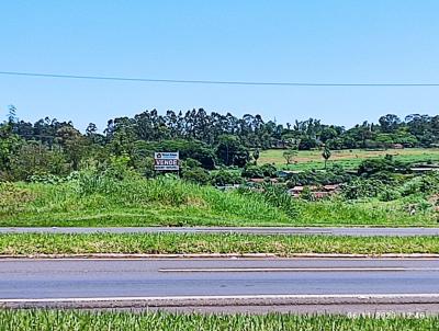 Terreno para Venda, em Umuarama, bairro Zona Rural