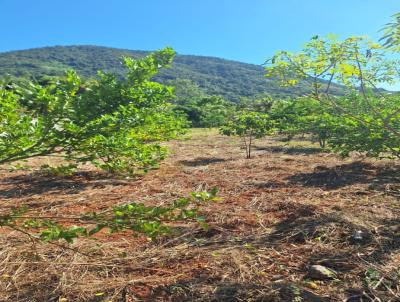 Terreno para Venda, em , bairro MENDANHA SERRINHA