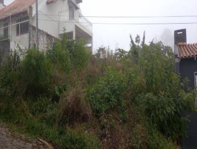 Terreno para Venda, em Santana do Livramento, bairro Alphaville