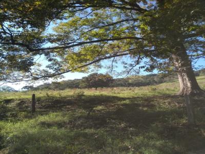 rea Rural para Venda, em Quilombo, bairro Interior