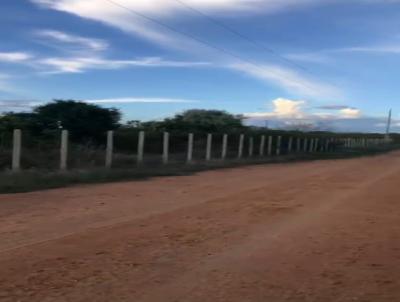 Chcara para Venda, em So Jos de Espinharas, bairro So Jos de Espinharas