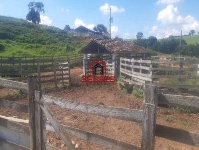 Fazenda para Venda, em Turvolândia, bairro Centro