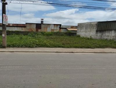 imagem-miniatura
