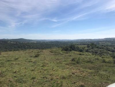 Campo para Venda, em Pinheiro Machado, bairro Torrinhas, 1 dormitrio, 1 banheiro