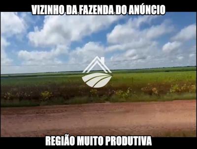 Fazenda para Venda, em Caxias, bairro rea rural com expanso consolidada