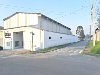 Galpo para Locao, em Fazenda Rio Grande, bairro Pioneiros, 5 banheiros, 5 vagas