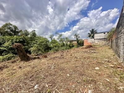 Terreno em Condomínio para Venda, em Manaus, bairro Tarumã
