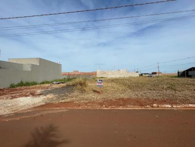 imagem-miniatura