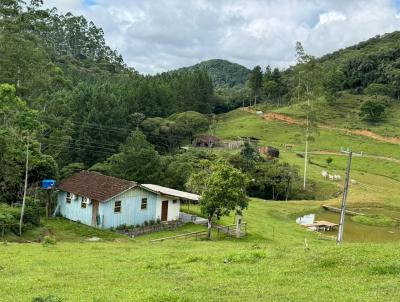 Stio para Venda, em So Pedro de Alcntara, bairro BARRO BRANCO, 2 dormitrios, 1 banheiro