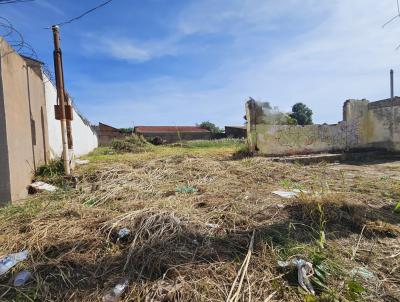 Terreno para Venda, em Campo Grande, bairro Vila Nasser