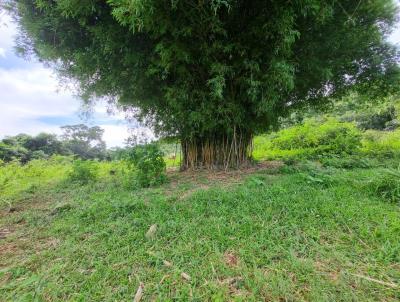 Terreno para Venda, em Munhoz, bairro 