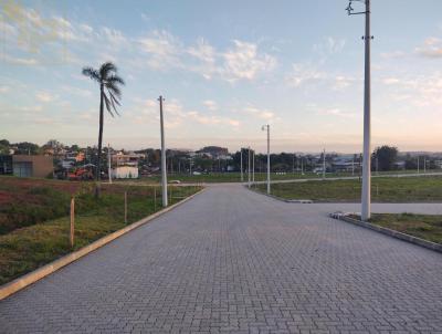 imagem-miniatura