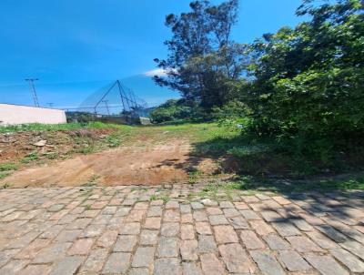 imagem-miniatura