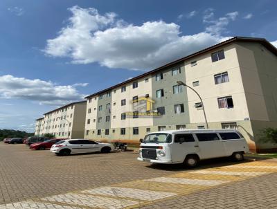 Apartamento para Locao, em Telmaco Borba, bairro Rio Alegre, 2 dormitrios, 1 banheiro
