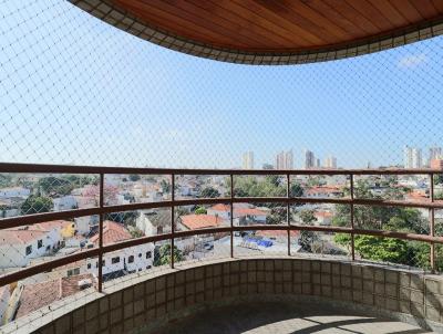 imagem-miniatura