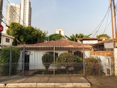 imagem-miniatura