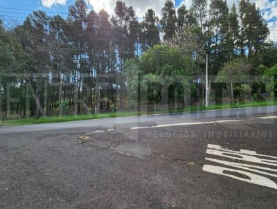 Terreno Comercial para Venda, em Ribeiro Preto, bairro Ribeirnia