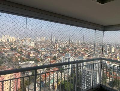 imagem-miniatura