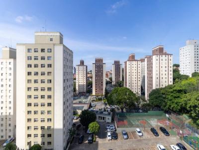 imagem-miniatura