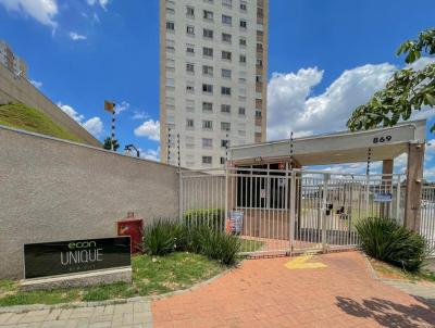 imagem-miniatura