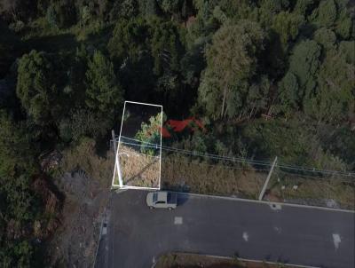 Terreno para Venda, em Caador, bairro Reunidas