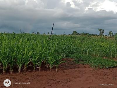 Chcara para Venda, em So Gabriel do Oeste, bairro Zona rural